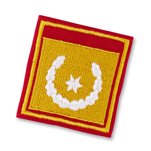 [1117502] LDS. Deputy Fire Chief (SBG)