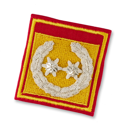 [111750] LDS. Directeur des pompiers (OOE, SBG)