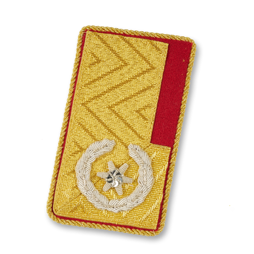 [111603] LDS. Directeur adjoint des pompiers (BGLD)