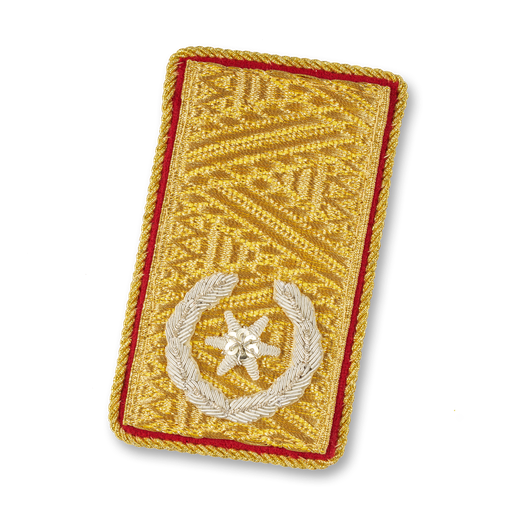 [111660] LDS. Directeur adjoint des pompiers (NOE)