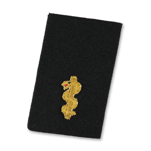 [111001] Feuerwehrarzt/-Vet (STMK,BGLD)