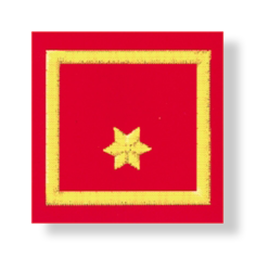 Uniform epaulets BI (NÖ, T, STMK, OÖ)