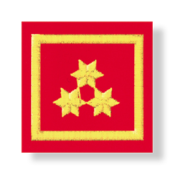 Uniform epaulets HBI (NÖ, T, STMK, OÖ)