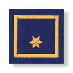 Uniform epaulets BI d. Fachdienst (OÖ) (VW: BGLD, NÖ) (VWI: SBG)