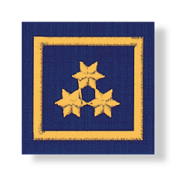 Uniform epaulets HVW (OÖ) (HVW: NÖ, BGLD, T)