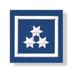 Uniform epaulets HVW (T, STMK)