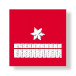 Uniform epaulets (NÖ, T, STMK, OÖ)