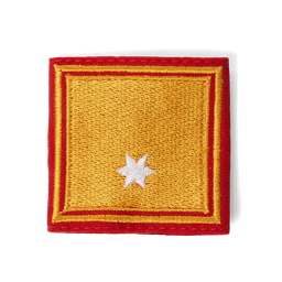Uniform epaulets ABI (BGLD, OÖ, STMK)